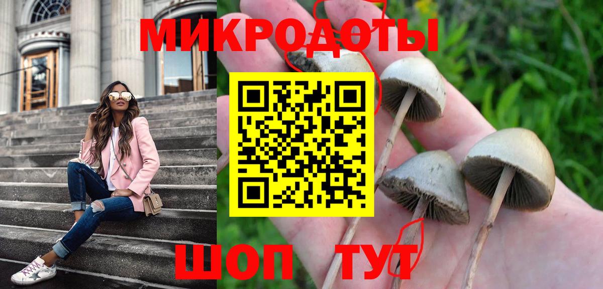 Псилоцибиновые грибы Psilocybine cubensis Павловский Посад