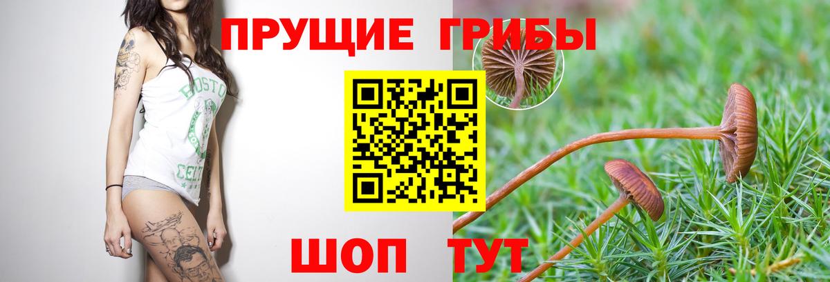 Галлюциногенные грибы ЛСД  Вход с VPN  Павловский Посад  Псилоцибиновые грибы Cubensis 